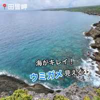 意外と知られていない！沖永良部島の魅力発見👀