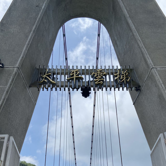 太平雲梯｜全台最高、最長的景觀吊橋 🌉
