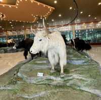 The Jamri Museum in Shangri-La 🦬