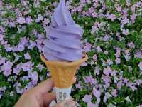 Hitachi Seaside Park and Ashikaga Flower Park