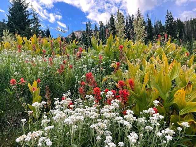 Salt Lake City, Utah – Where Urban Energy Meets Wild Adventure