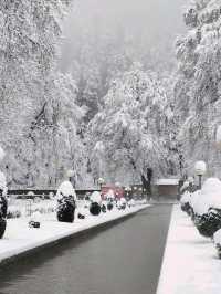 Srinagar – A Soulful Symphony of Lakes, Mountains, and Culture