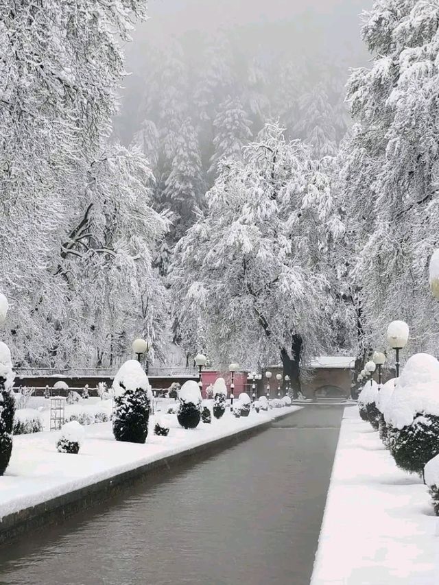 Srinagar – A Soulful Symphony of Lakes, Mountains, and Culture