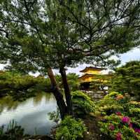 Gleaming Beauty: Experiencing Kinkaku-ji’s Golden Charm