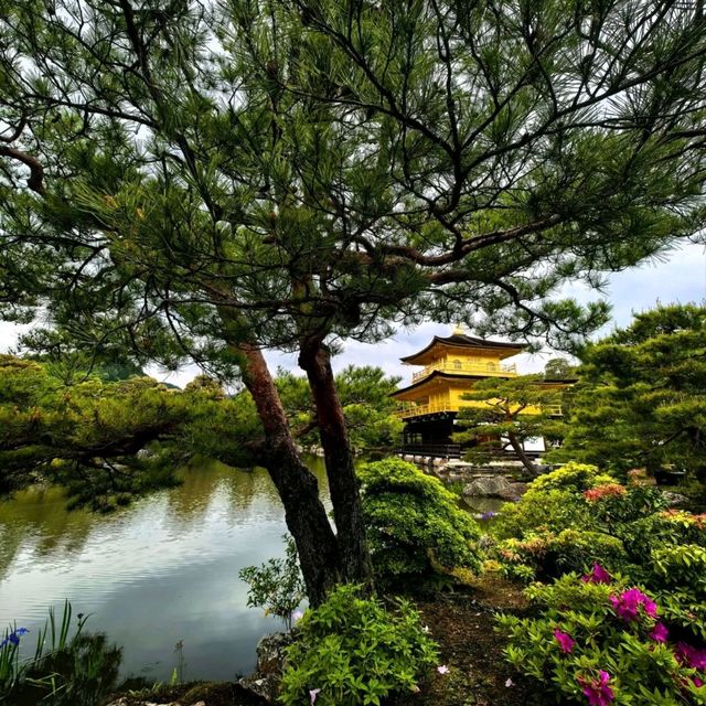 Gleaming Beauty: Experiencing Kinkaku-ji’s Golden Charm