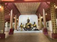 เที่ยวธรรมชาตินั่งสมาธิสงบ “วัดผาลาด” 