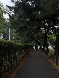 Nagoya Castle Park✨✨
