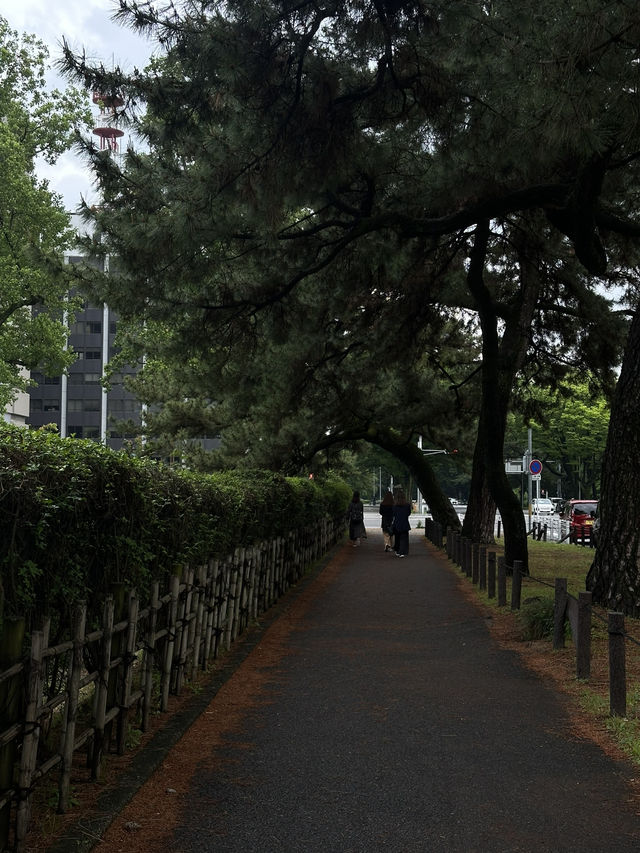 Nagoya Castle Park✨✨