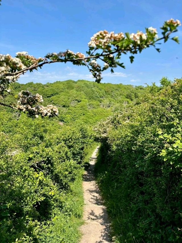 Between Monknash and Southerndown – A Coastal Hike That Stays With You