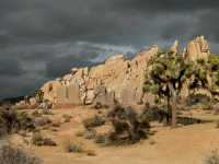 Desert Wonders: Hiking the Hidden Valley Trail in Joshua Tree