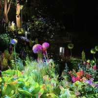 A Nighttime Wonderland: Haidian Park’s Magical Glow