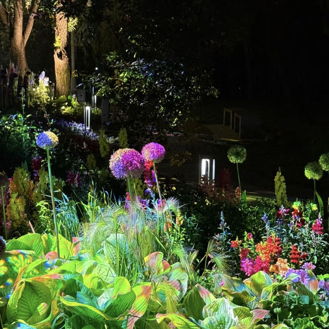 A Nighttime Wonderland: Haidian Park’s Magical Glow
