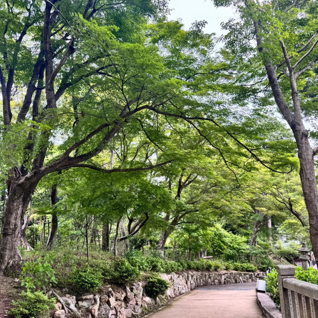 🌸 A Dreamy June Morning at Kyoto’s Hydrangea Wonderland — Yanagidani Kannon & Yanggu Temple 🌿✨