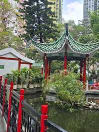 Hollywood Road Park 🏞️