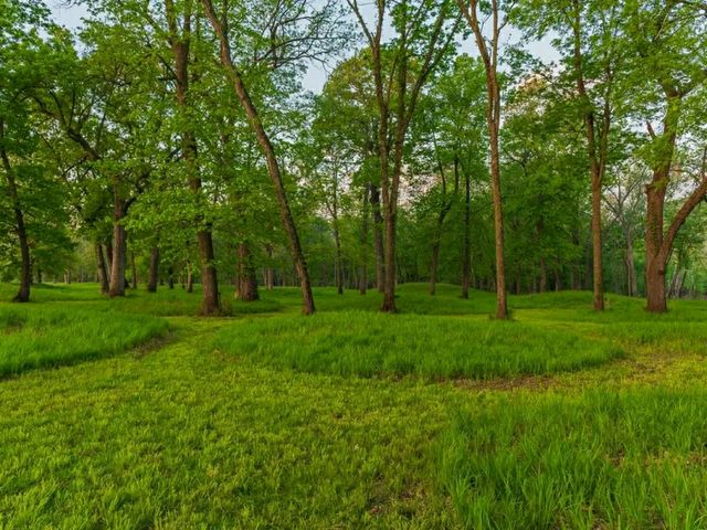 Sacred Paths: Hiking Through Effigy Mounds