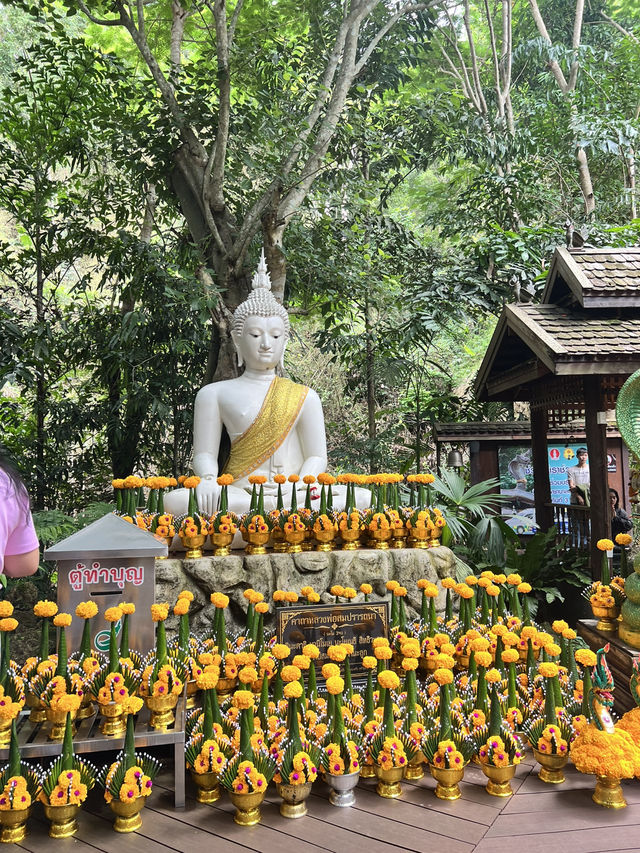 สายมูเชียงใหม่ ห้ามพลาด ✨