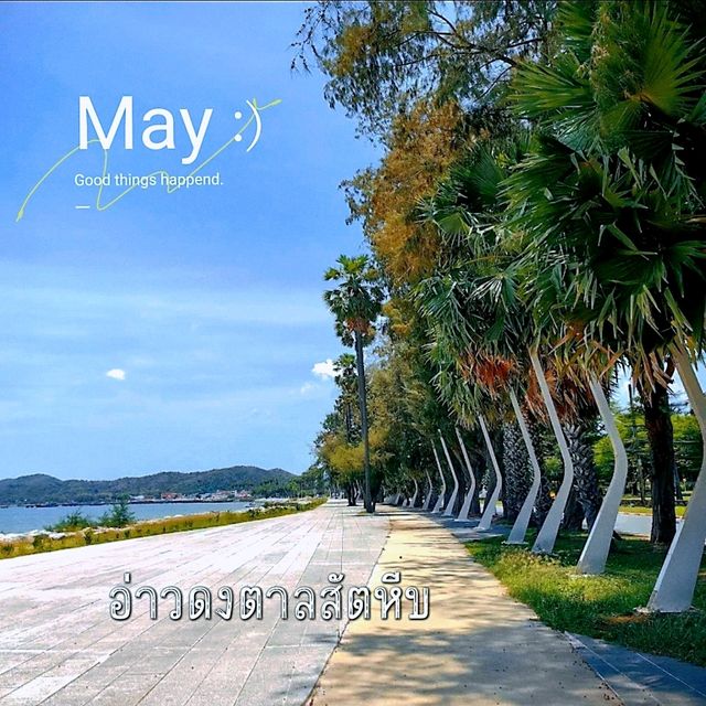 อ่าวดงตาล สัตหีบ หาดสวยน้ำใส ต้นตาลเรียงรายสวยงาม
