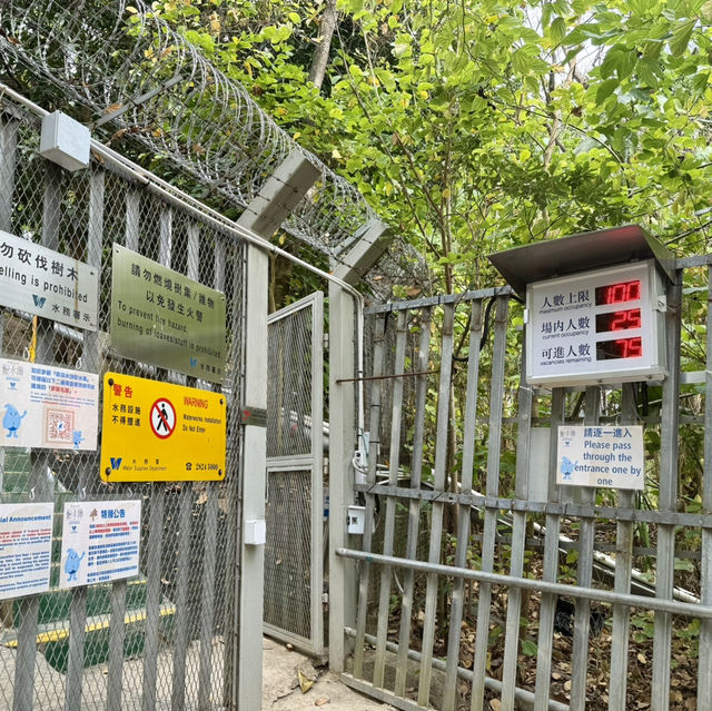 ​​前深水埗主教山配水庫：市區地下羅馬秘境 🏛️