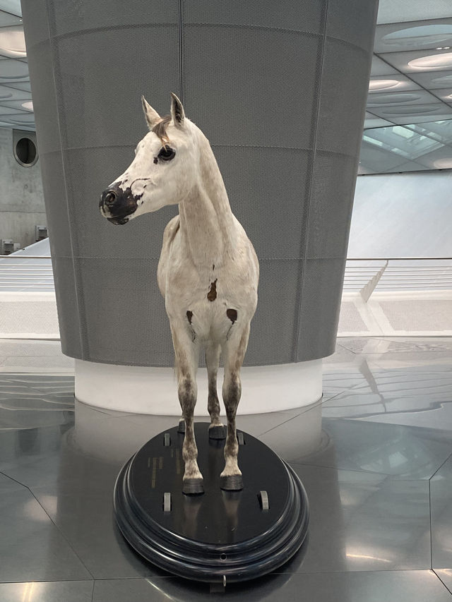 MUST-DO in Stuttgart: car museums!!! 