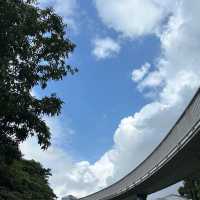 ～綠蔭迷宮～沙步公園端午踏青～