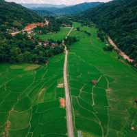 รีสอร์ทท่ามกลางทุ่งนาสีเขียว บรรยากาศดีสุดๆ 🍃🌾