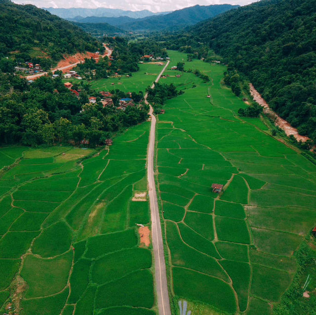 รีสอร์ทท่ามกลางทุ่งนาสีเขียว บรรยากาศดีสุดๆ 🍃🌾