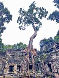 List of 10 popular temple in Siam reap 