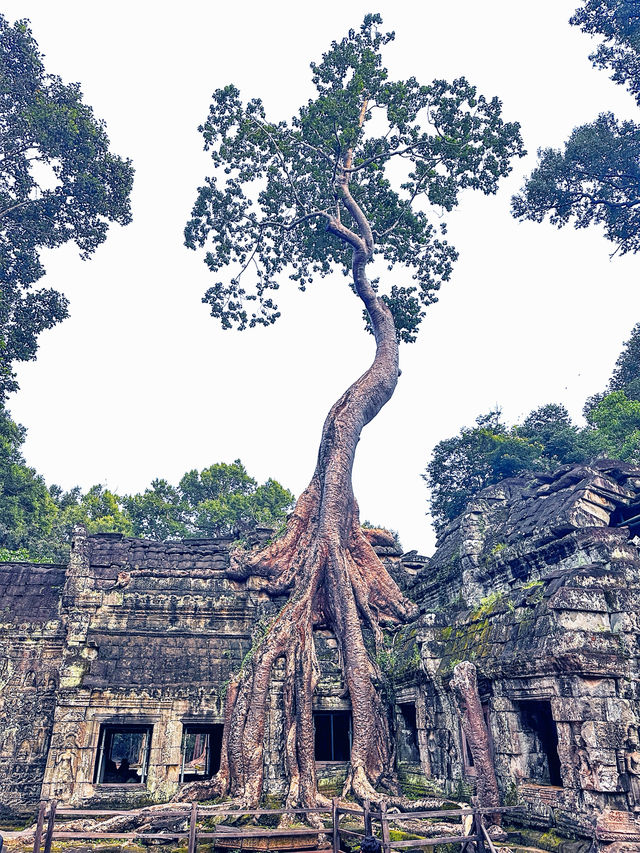 List of 10 popular temple in Siam reap 