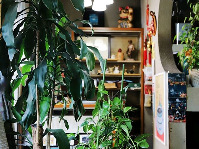 【🇯🇵広島】昭和の温もりに包まれる喫茶店「茶房 ふじ」で、心安らぐひととき