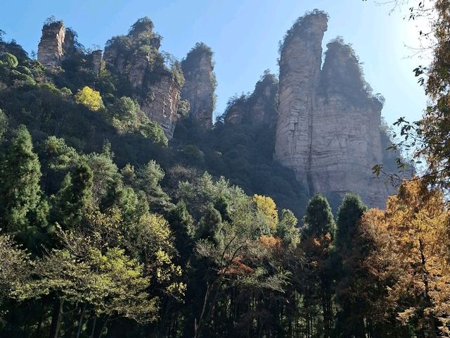 到張家界...也可以放輕鬆