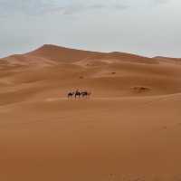 🐫🌅 Camel Trekking in the Sahara: A Magical Desert Adventure