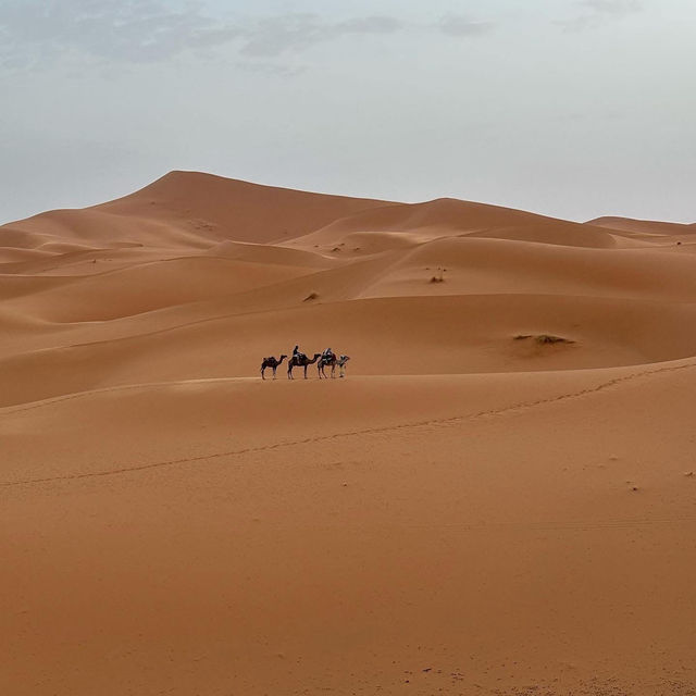 🐫🌅 Camel Trekking in the Sahara: A Magical Desert Adventure