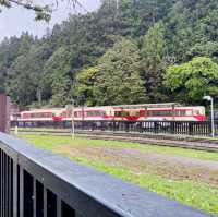 🚉 沼平車站｜通往阿里山仙境的門戶，全台最高木造車站