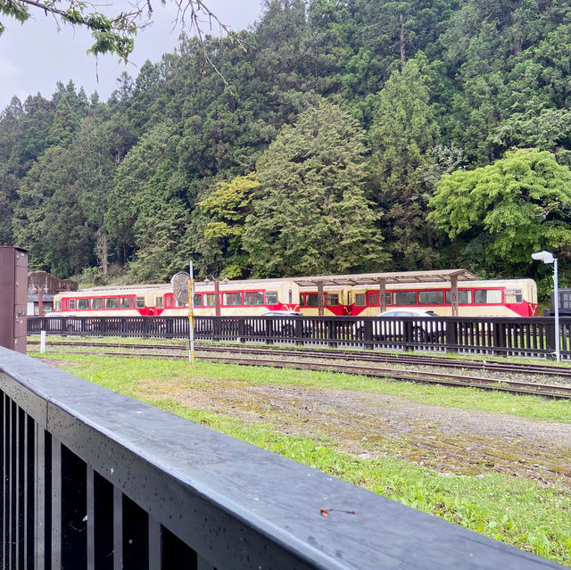 🚉 沼平車站｜通往阿里山仙境的門戶，全台最高木造車站