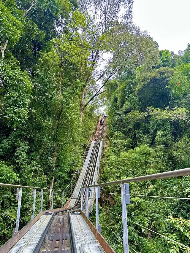 Unique Experiences in Cool Dalat Travel