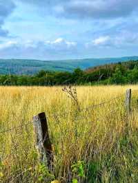 Eifel National Park – Germany’s Living Wilderness