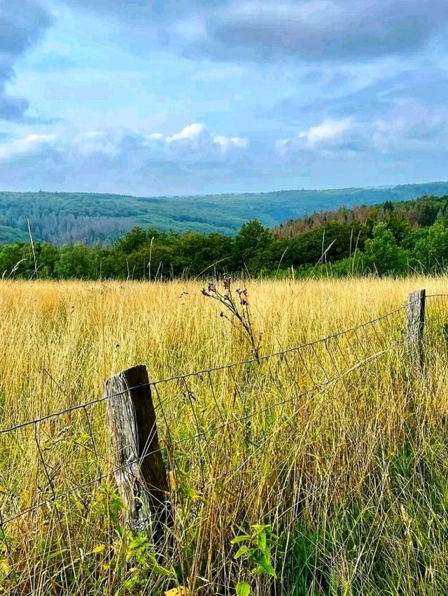 Eifel National Park – Germany’s Living Wilderness