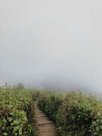 กิ่วแม่ปาน , เชียงใหม่