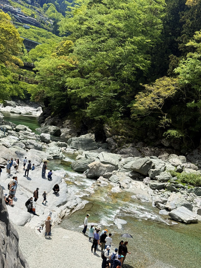 德島｜甜鹹交織木偶串在火爐邊起舞 平氏一族逃亡思鄉的琵琶瀑布