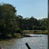 Werribee Zoo | An African Safari Experience in Melbourne! 🦒🛻🌍 