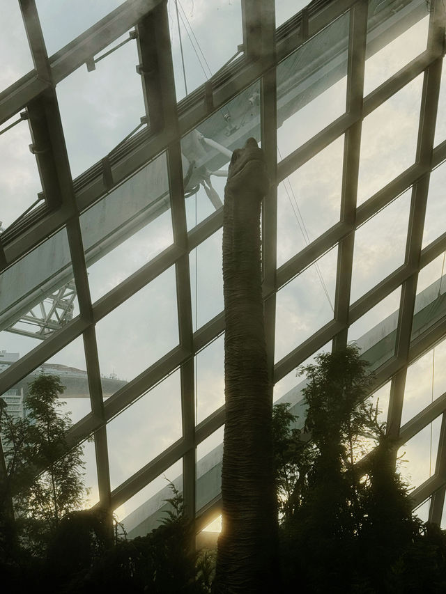Cloud Forest Singapore🌴🦖