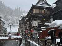 藏王雪山與浪漫仙子紫藤花