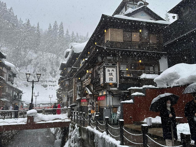藏王雪山與浪漫仙子紫藤花