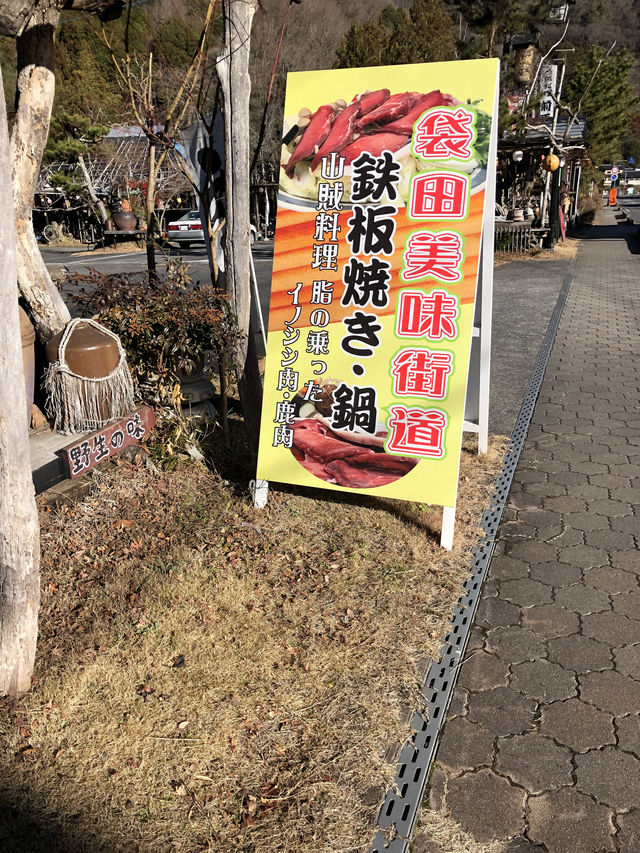 🏞️日本三名爆『袋田の滝』西行法師曰く「四度(よど)の滝」