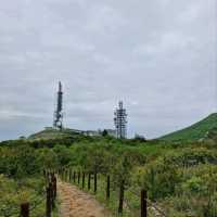 A Day Up Mudeungsan