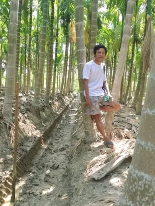 A Trip to a Betel Nut Farm