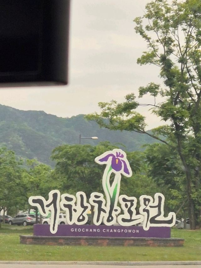 그윽하고 고매한 연꽃세상💚거창 여름창포원