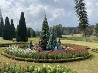 Nature Escape in Pyin Oo Lwin 🌸✨ | Lake, Gardens & Bird Park Adventure