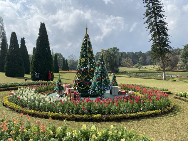 Nature Escape in Pyin Oo Lwin 🌸✨ | Lake, Gardens & Bird Park Adventure