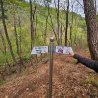 Quiet Trails Baekamsan